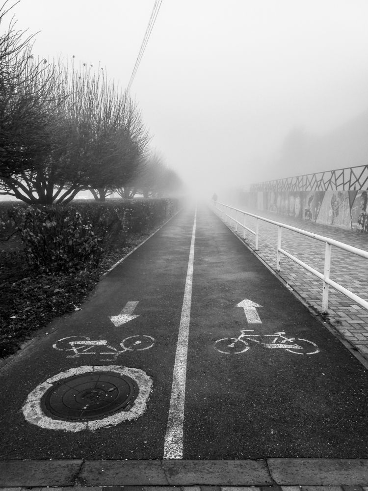 Photograph by Елена Маслова