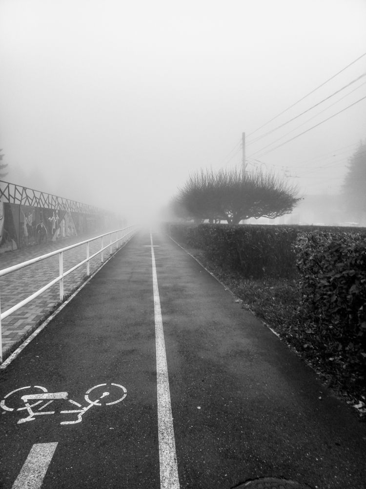 Photograph by Елена Маслова