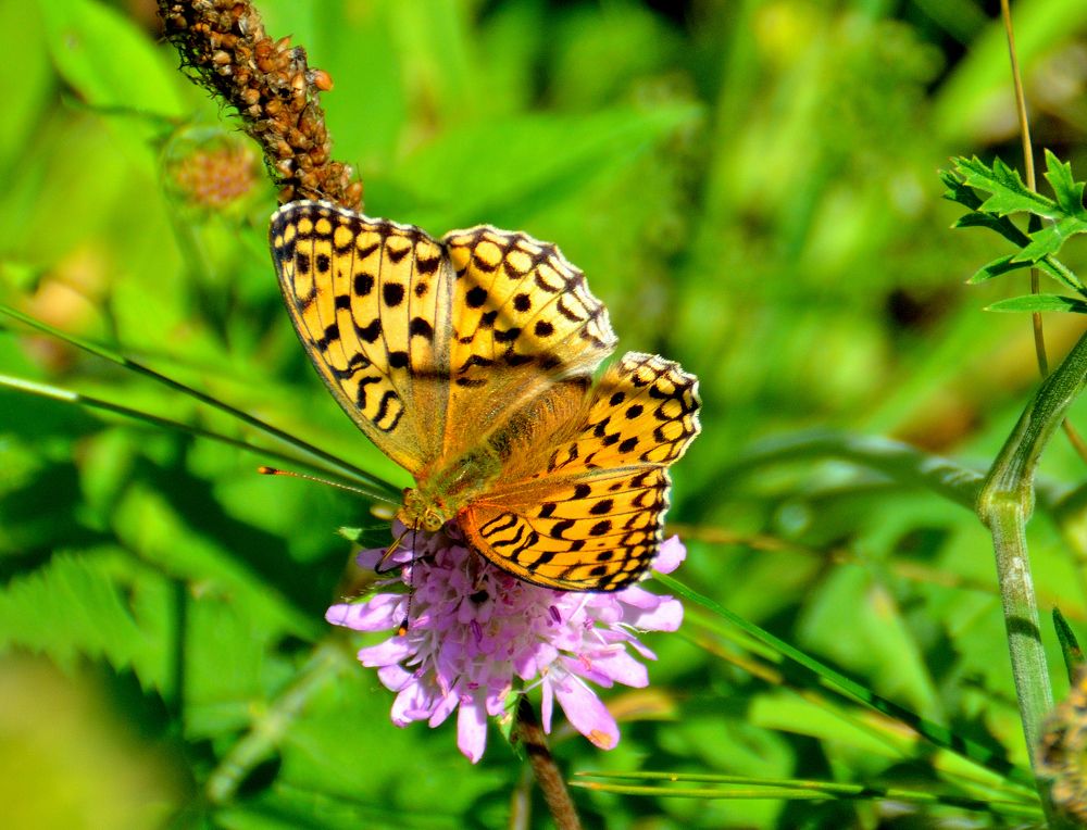 Photograph by Александр Зуев