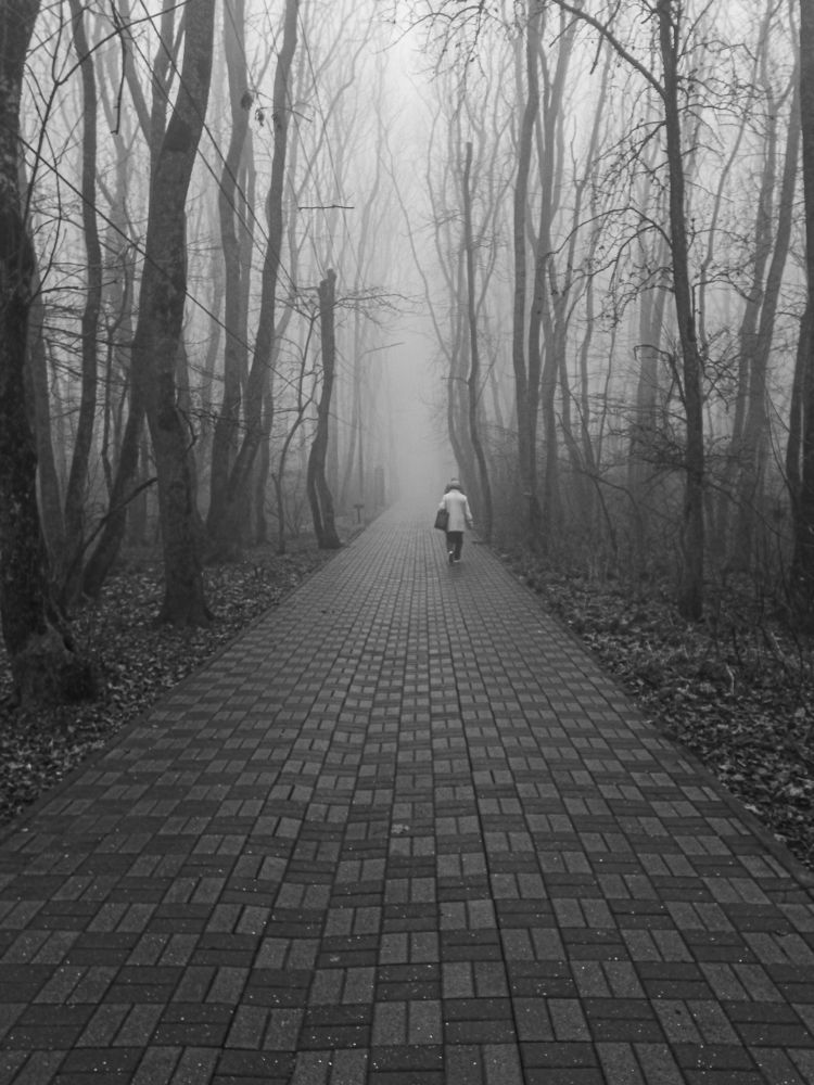 Photograph by Елена Маслова