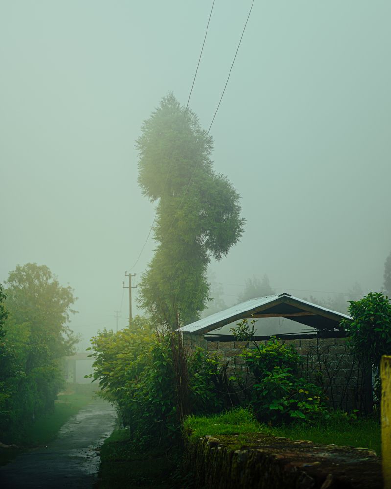 Photograph by Nishant Das