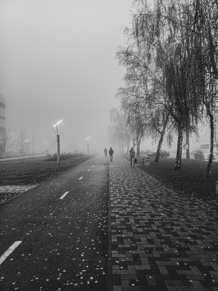 Photograph by Елена Маслова