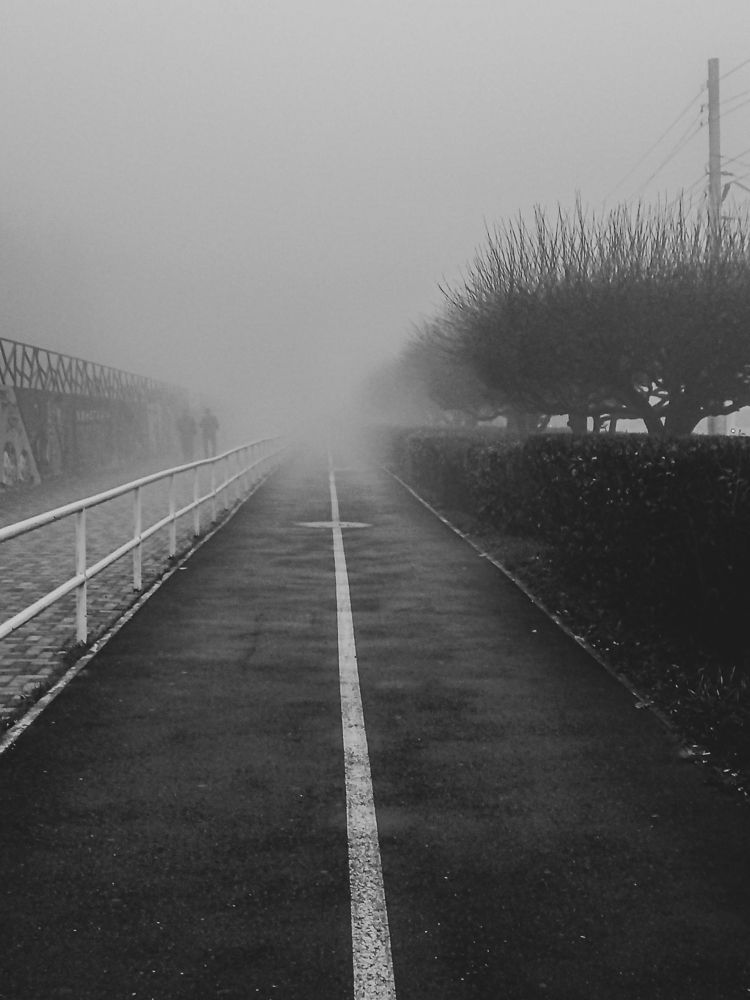 Photograph by Елена Маслова