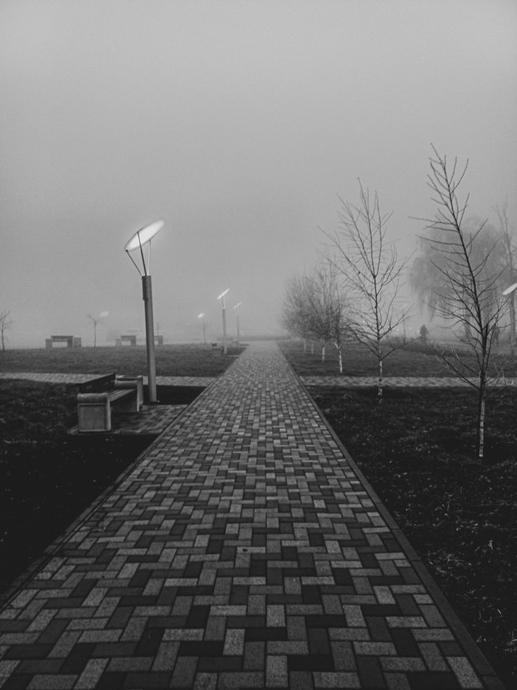 Photograph by Елена Маслова