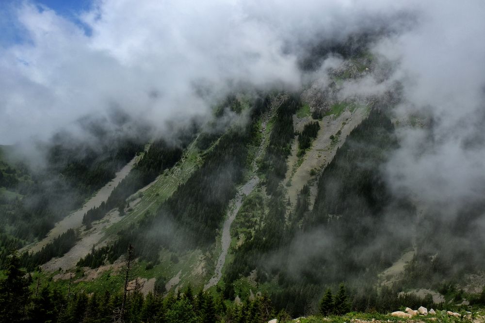 Photograph by Muzaffer Sütlüoğlu