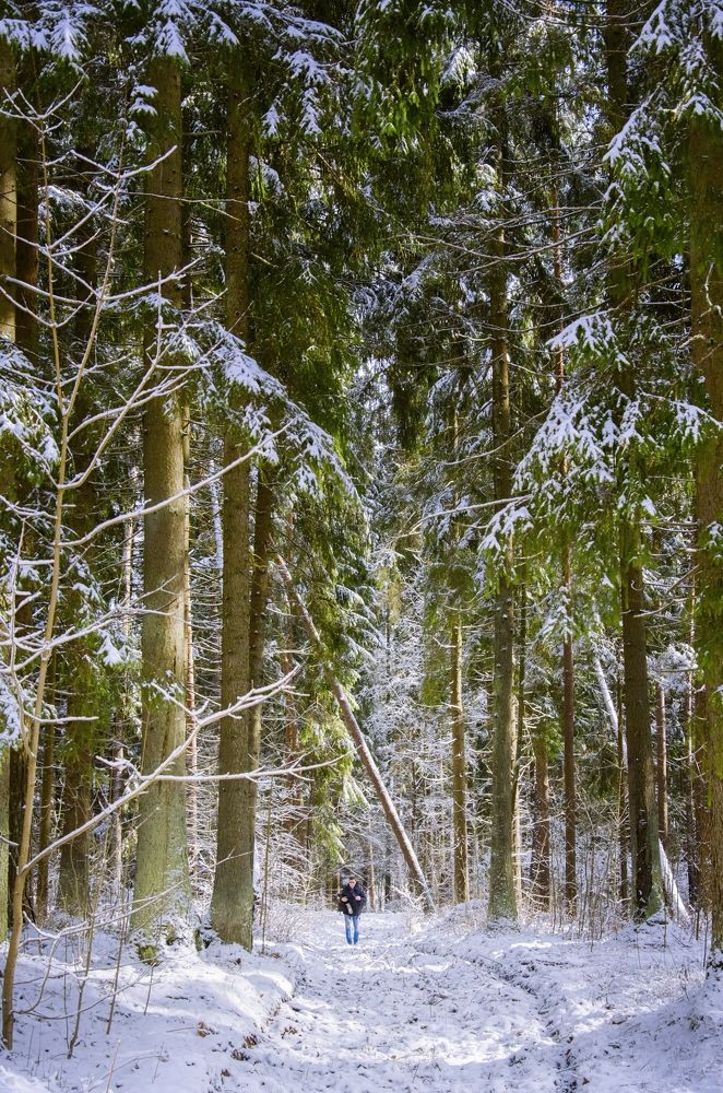 Photograph by Надежда Разводовская