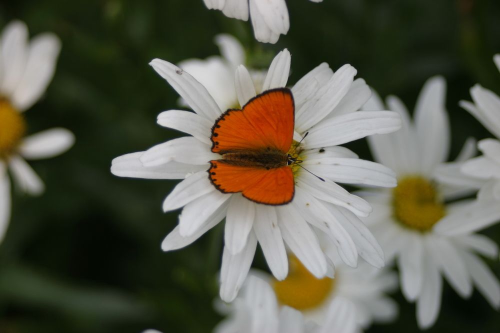 Photograph by Olga Kot