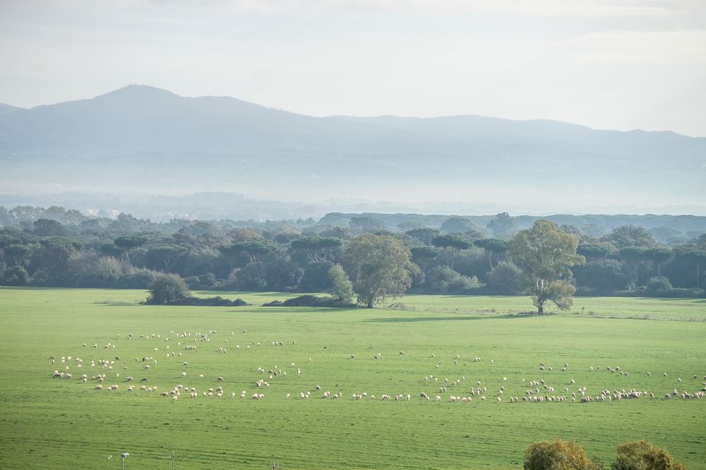 Photograph by Elena Golubeva