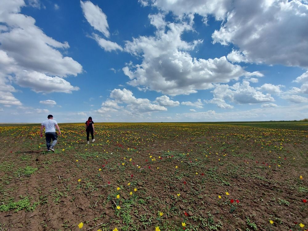 Photograph by Ирина Герлин