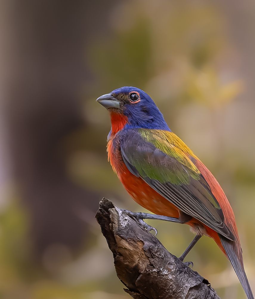 Photograph by jackie schletter