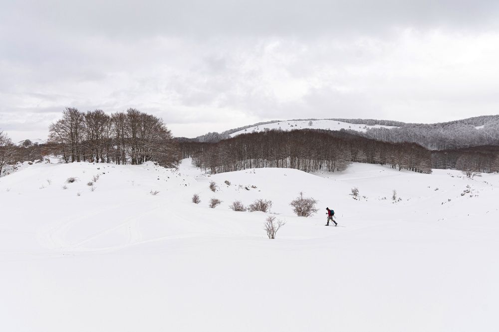 Photograph by Elena Golubeva