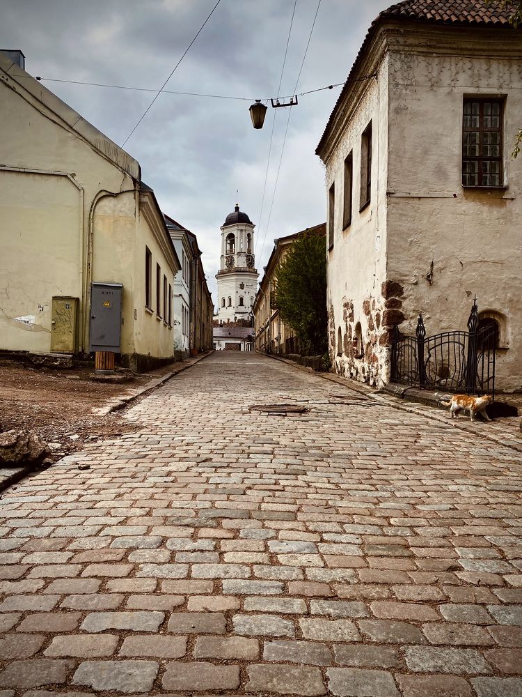 Photograph by Елена Ковалева