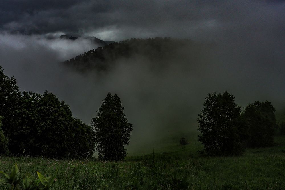 Photograph by Елена Зинцова