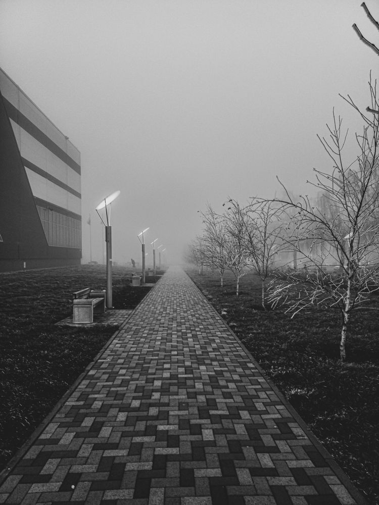 Photograph by Елена Маслова