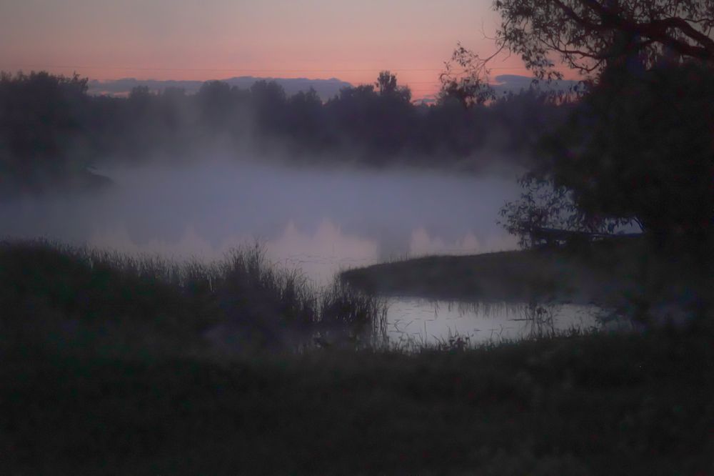 Photograph by Алфия Бугакова