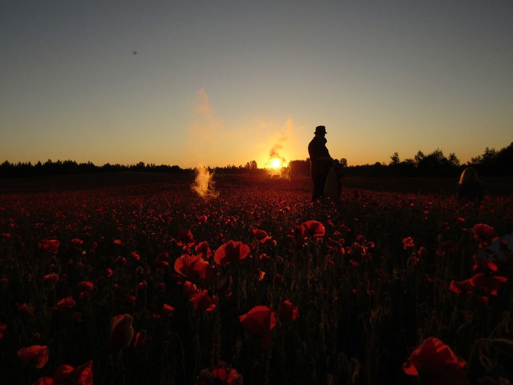 Photograph by Olga Kot