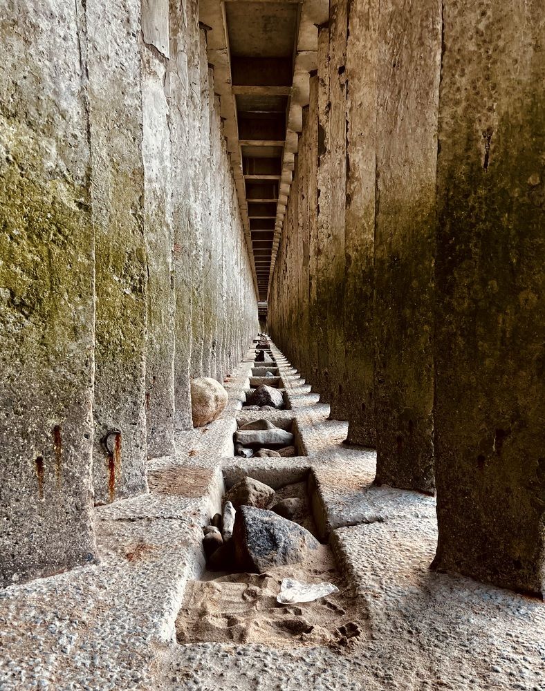 Photograph by Елена Ковалева