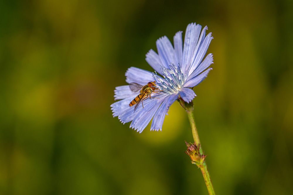 Photograph by Виталий Маслов