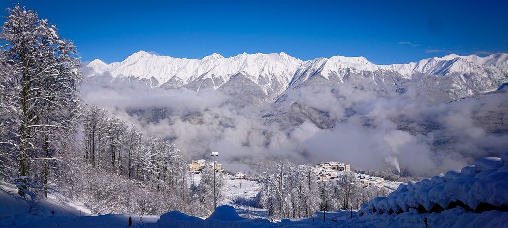 Фотография автора Elena Ku