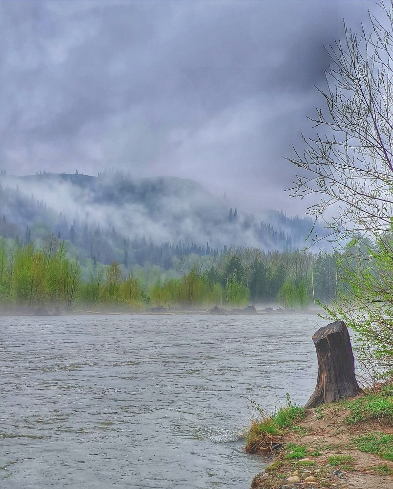 Photograph by Ольга Веселова