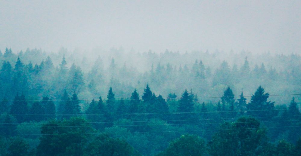 Фотография автора Elena Ku