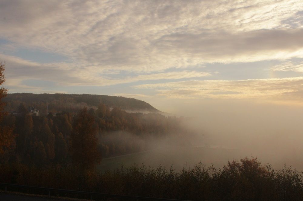 Photograph by Farah Ali