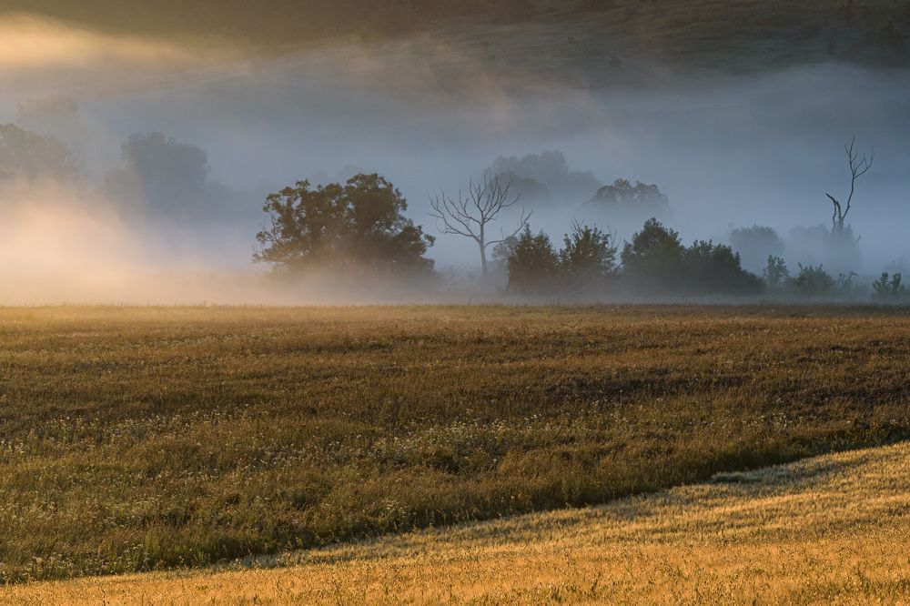Photograph by Леонид Синев