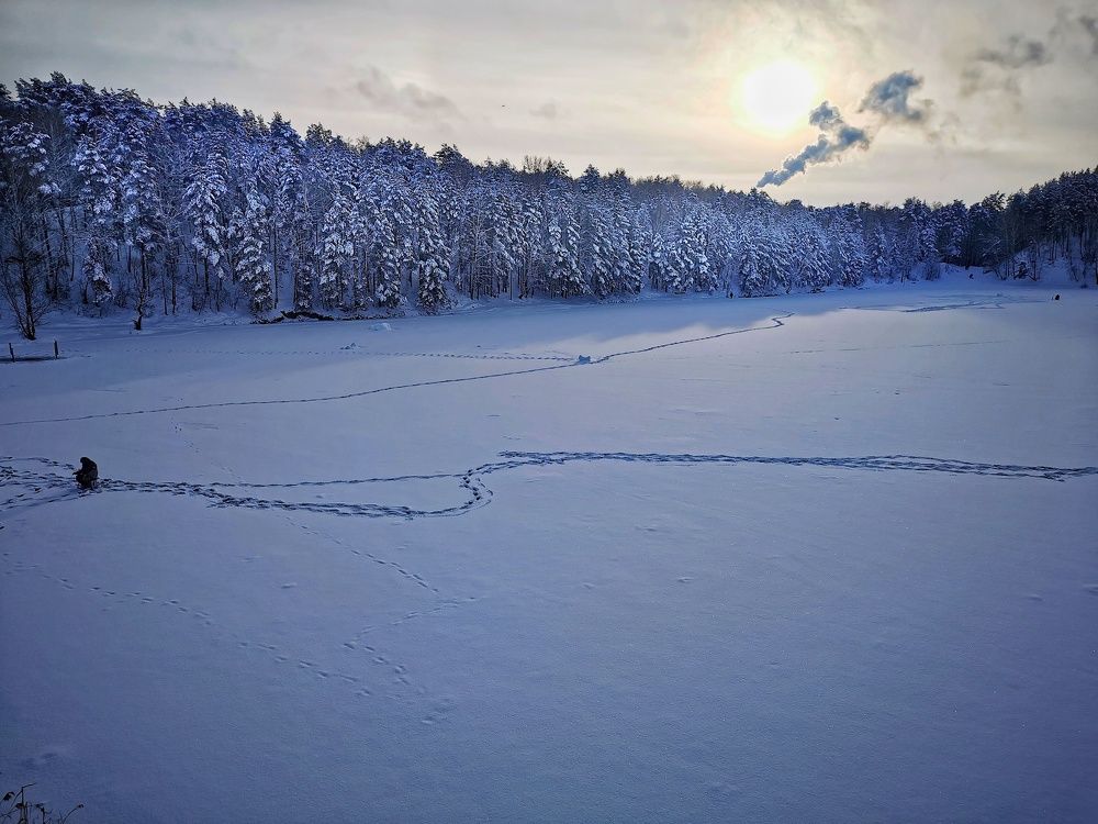 Photograph by Елена Артёменко