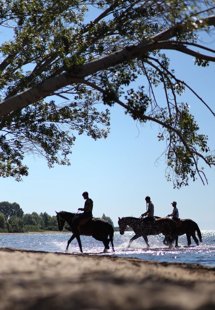 Photograph by Татьяна Лазарева