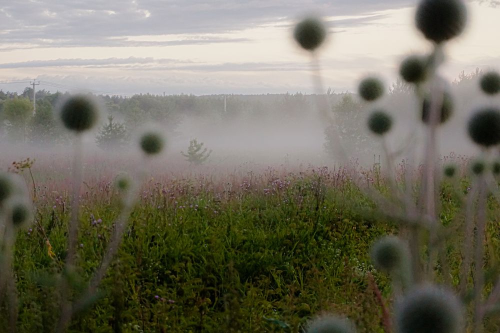 Photograph by Алфия Бугакова