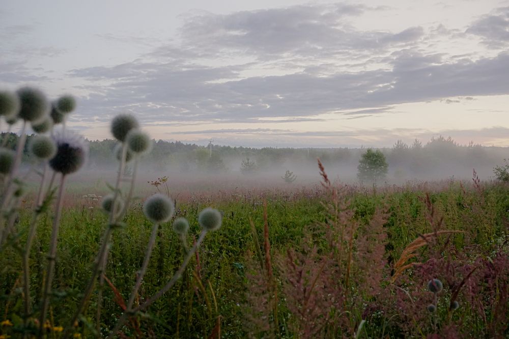 Photograph by Алфия Бугакова