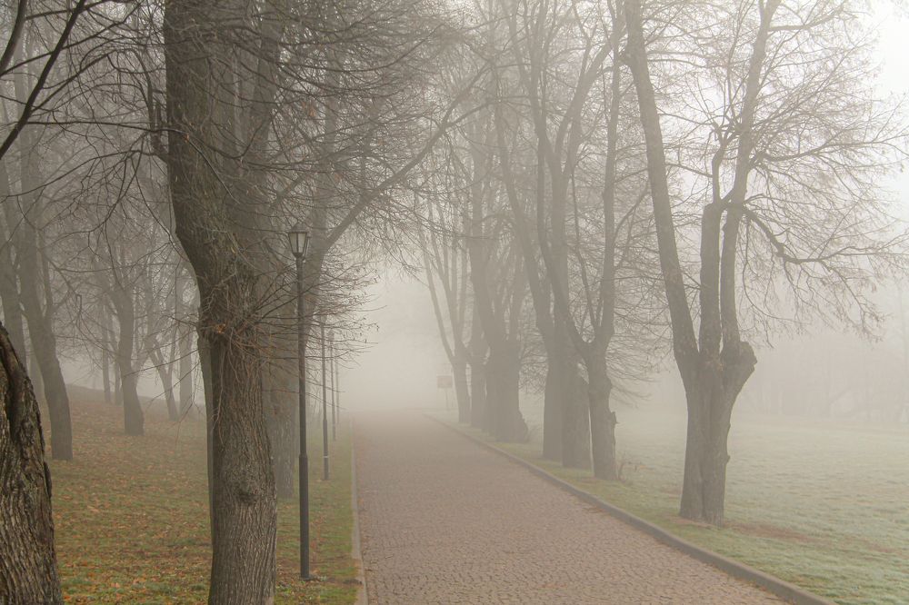 Photograph by Алфия Бугакова