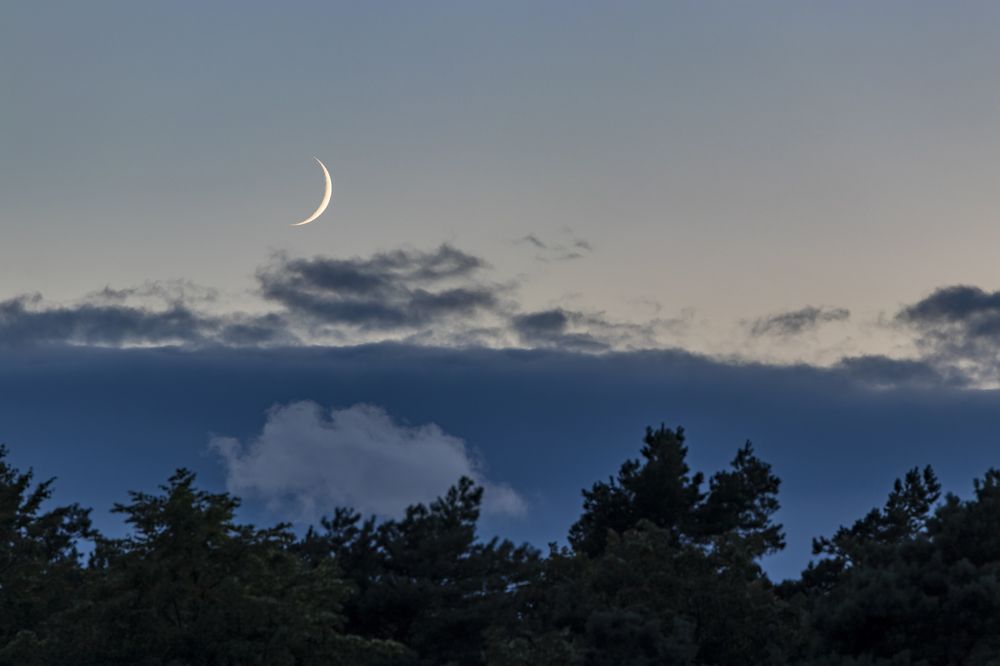 Photograph by Константин Чижов