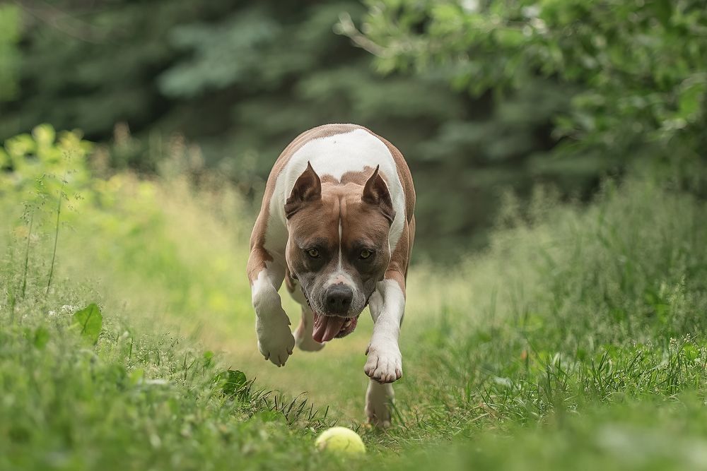 Фотография автора Мария Тигунова