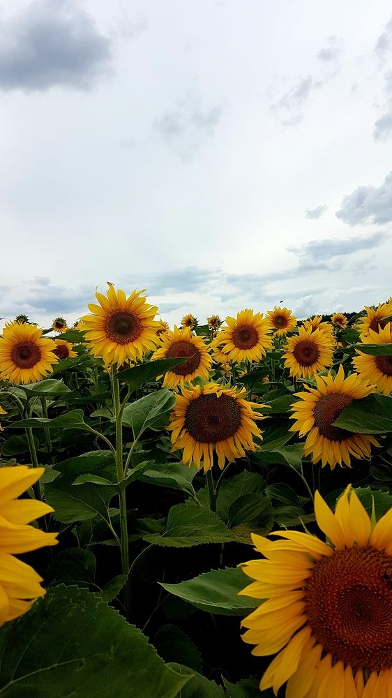 Photograph by Marina Kozlova