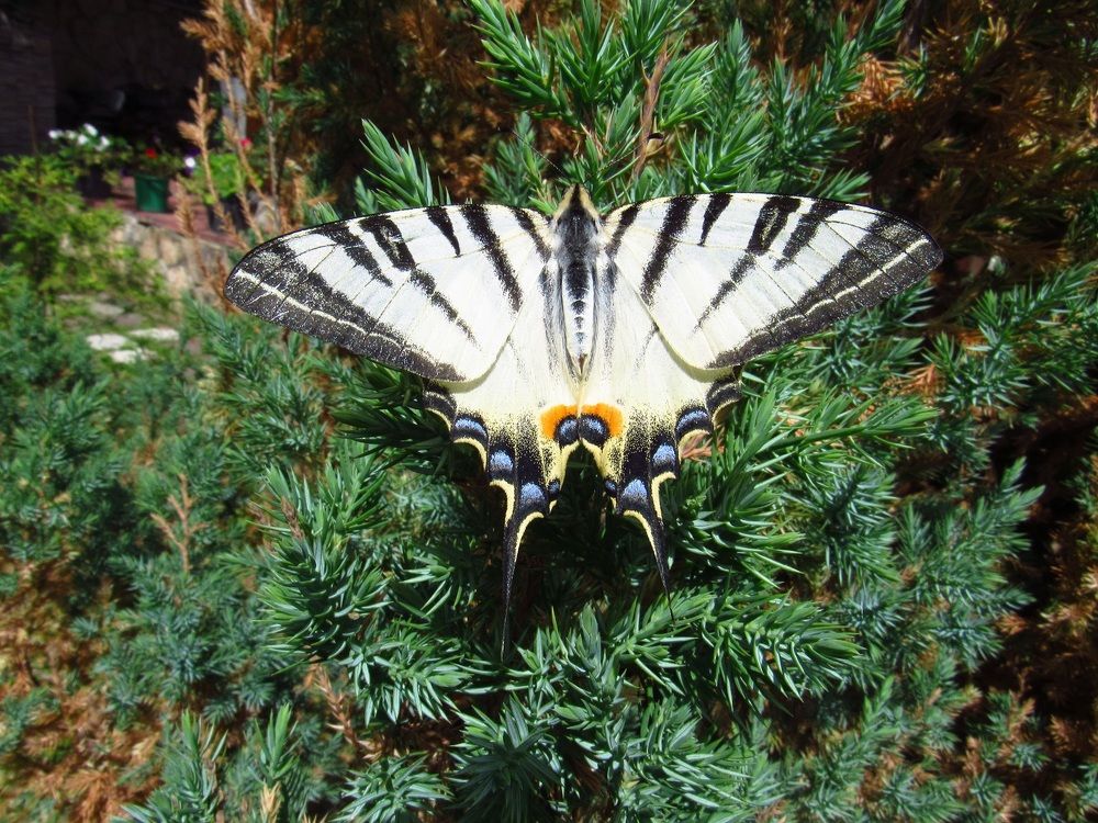 Photograph by Денис Веску