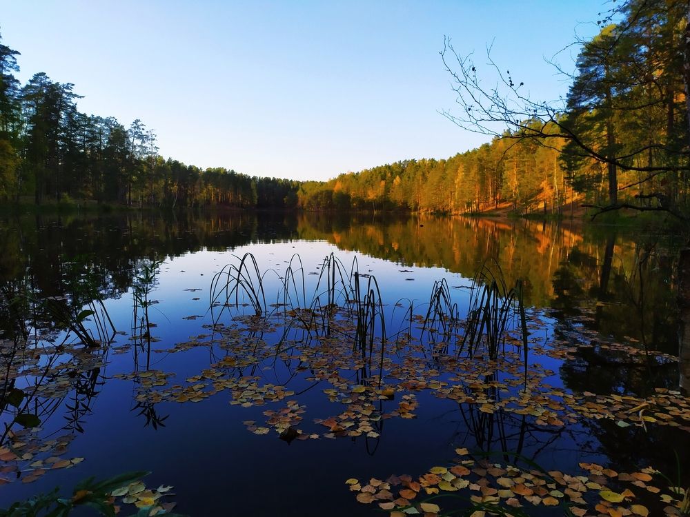 Photograph by Olga Kot