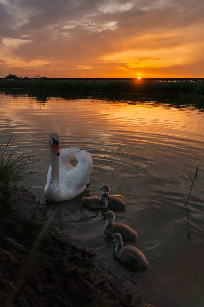 Photograph by Кривцов Андрей