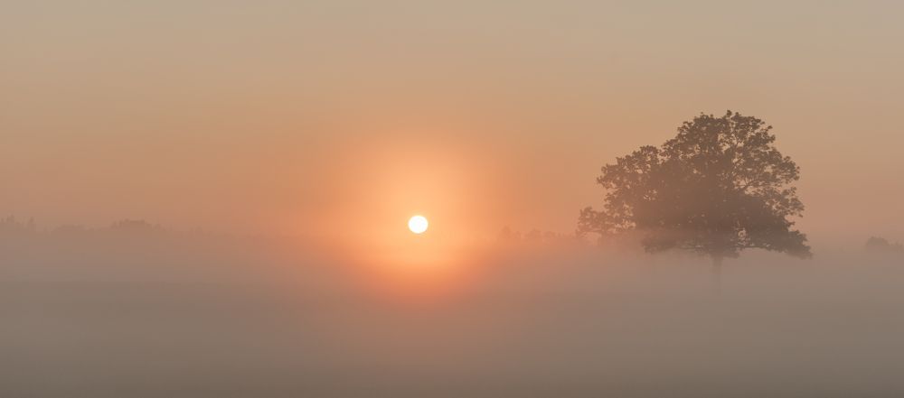 Photograph by gvido satori