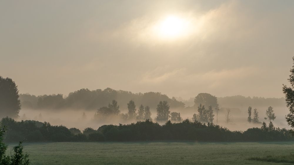 Photograph by gvido satori