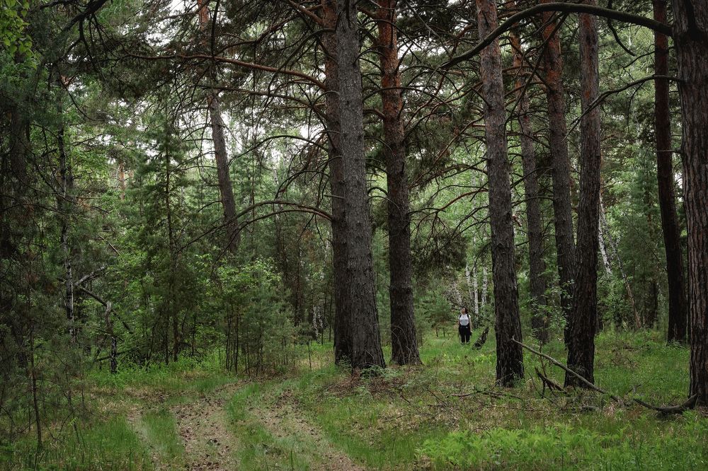 Звуки природы