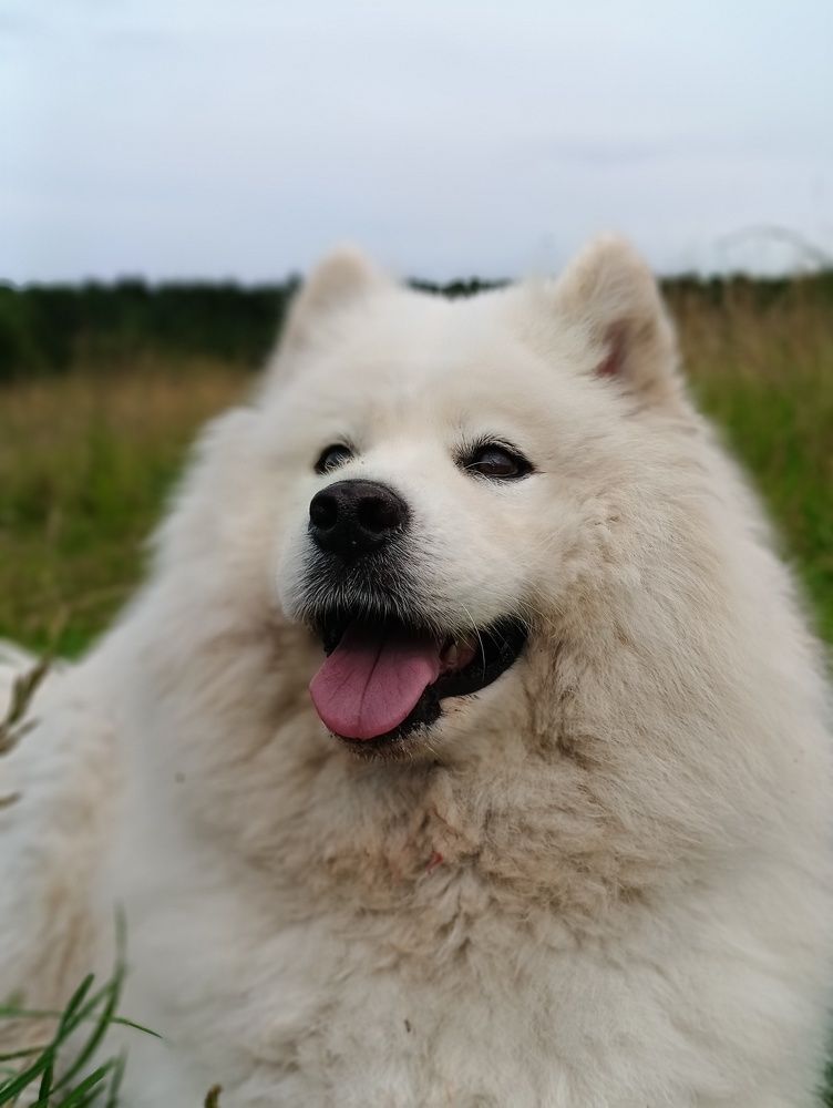 Photograph by Сергей Вершинин