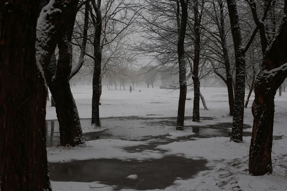 Фотография автора 