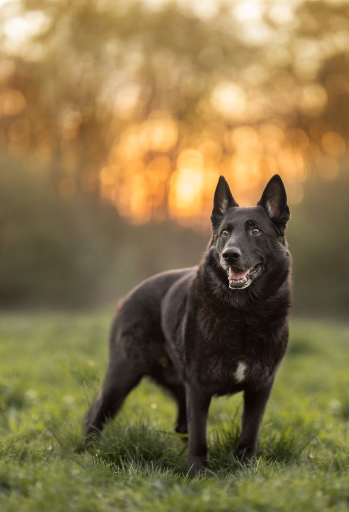 Photograph by Yong Lei van Barlingen