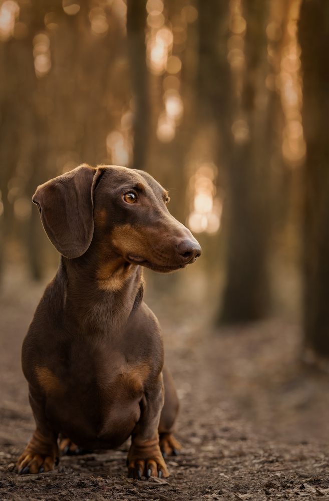 Photograph by Yong Lei van Barlingen