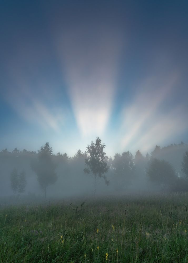 Явление солнца