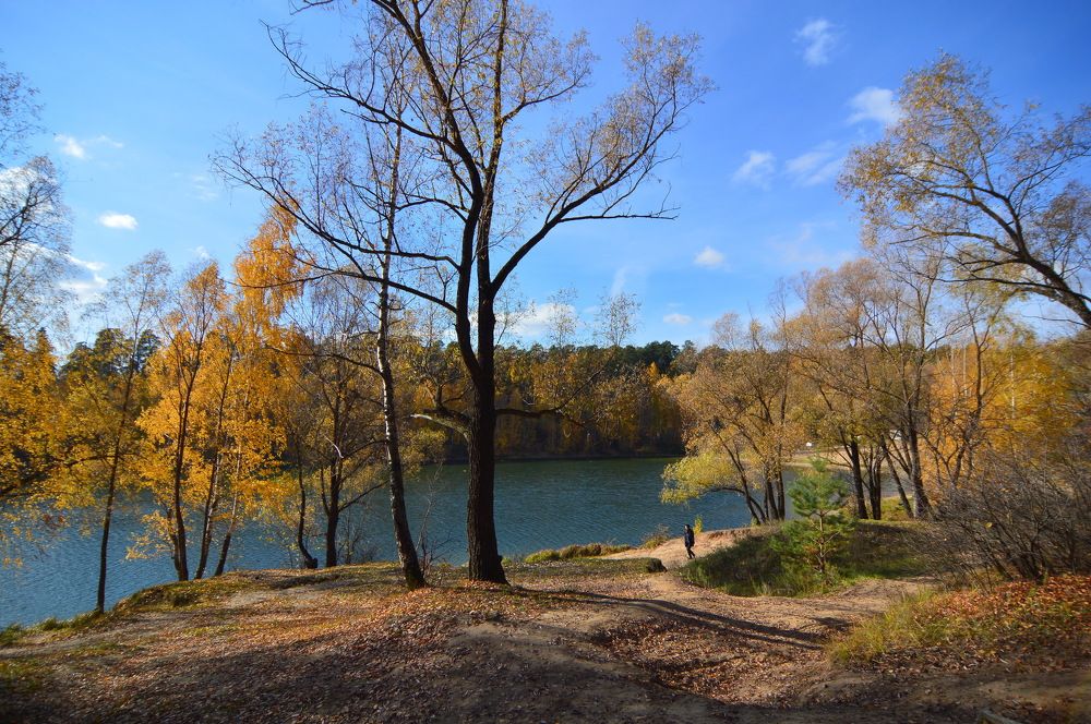 Фотография автора Клавдия Васильева