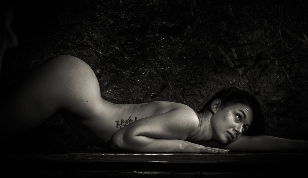 Фотография автора COMSA BOGDAN