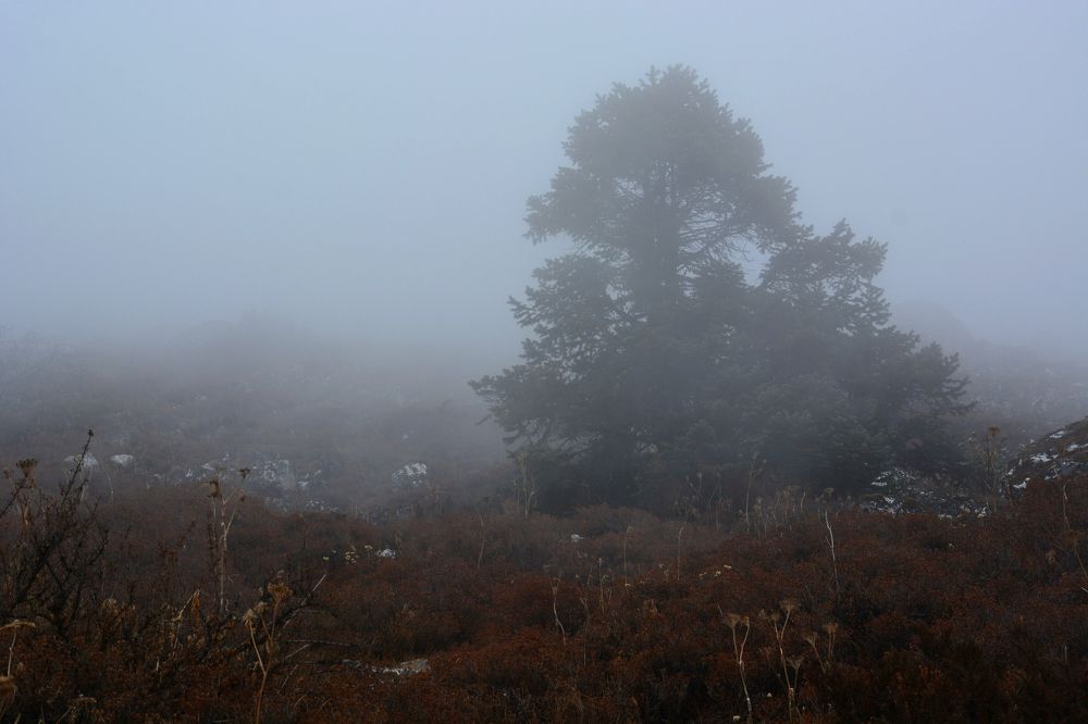 Photograph by Анатолий Орлов