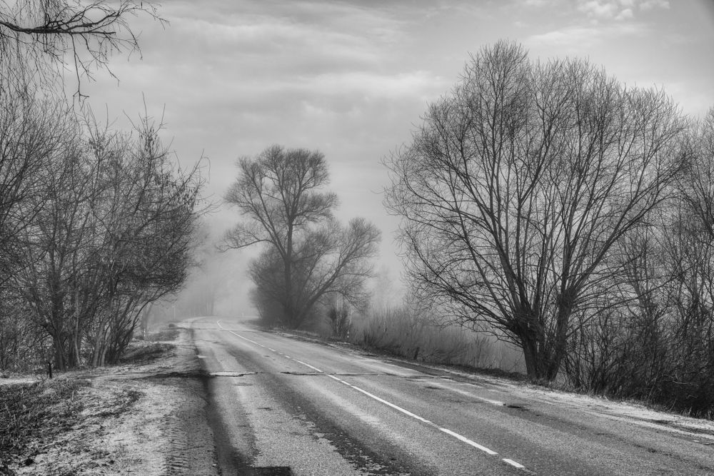 Photograph by Viktor Korotnev